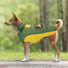 dog wearing the John Deere Pet Puffer Vest