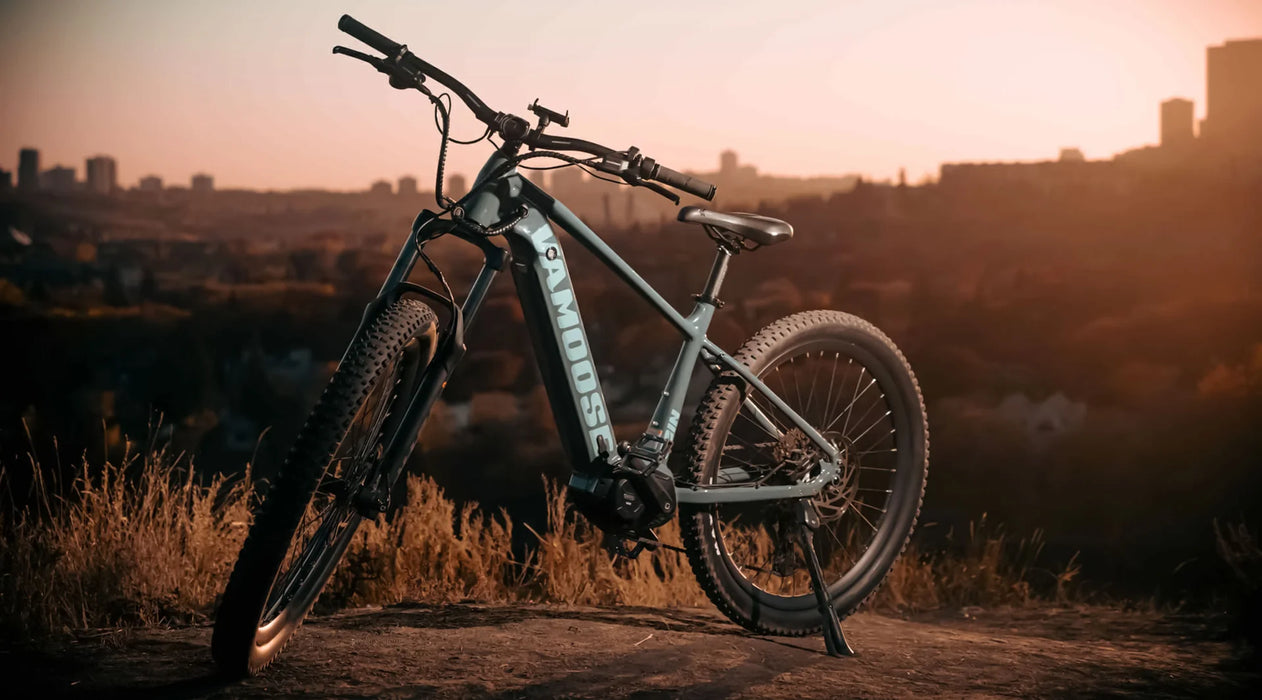 Vamoose Toro Hardtail E-Bike